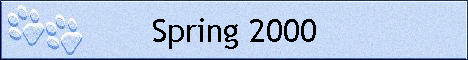 Spring 2000