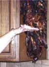 Picture3.JPG (81012 bytes)