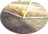 Picture6.jpg (67388 bytes)