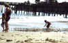 On_the_beach.jpg (64587 bytes)
