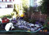 Yard_work.jpg (109151 bytes)